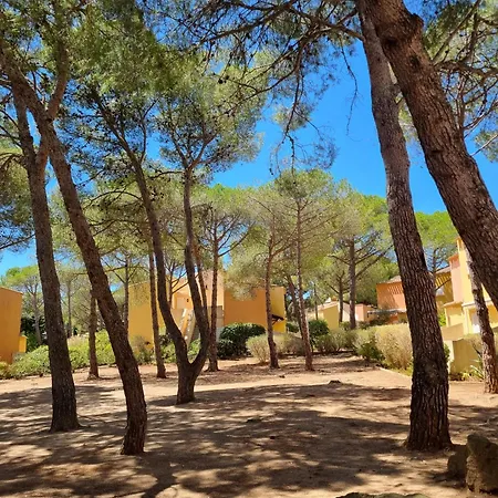 Au Coeur De La Pinede